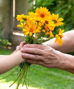 Natural Remedies for Joint Pain Image